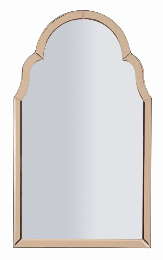 TANGER WANDSPIEGEL ROZE CM 47X1X80 ( BINNENSPIEGEL AFMETING 41X74)