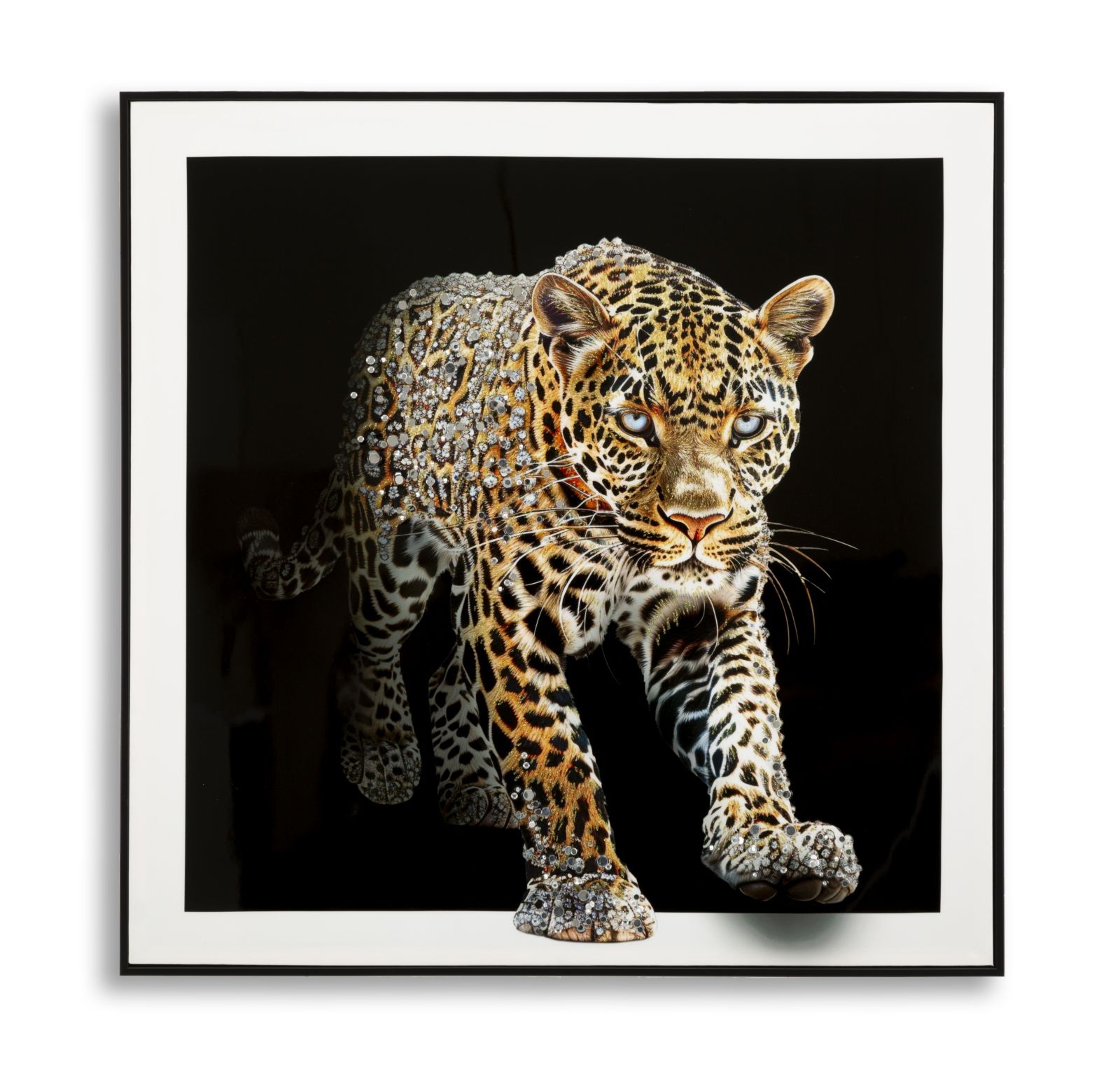 SCHILDERIJ OP DOEK GELAKTE JAGUAR MET FRAME -A- CM 82X4X82