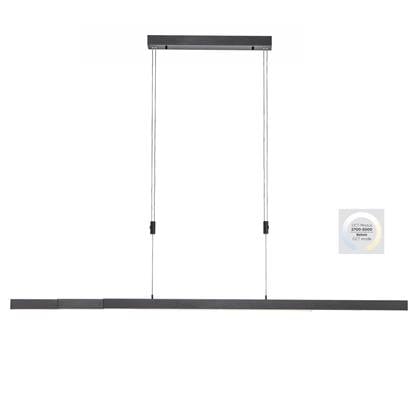 Paul Neuhaus Hanglamp Bacalia Antraciet L120-180cm