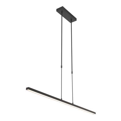 Steinhauer - hanglamp - Bande - zwart - kunststof metaal - design lamp - LED - 3319ZW