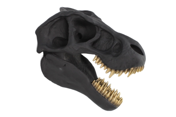 Wanddecoratie sculptuur T-REX 40 cm zwart - 48059